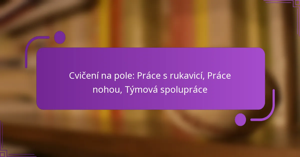 Cvičení na pole: Práce s rukavicí, Práce nohou, Týmová spolupráce
